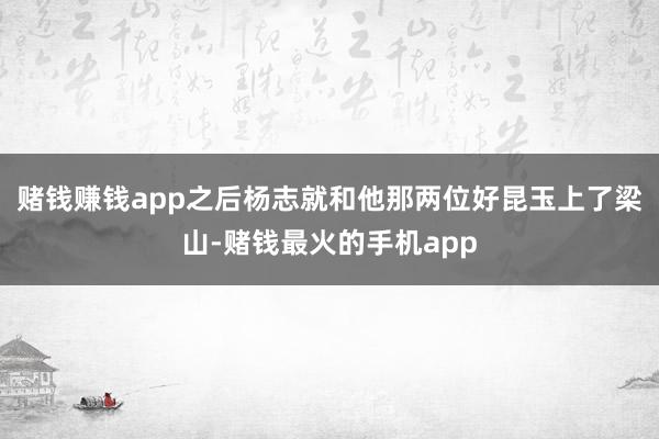 赌钱赚钱app之后杨志就和他那两位好昆玉上了梁山-赌钱最火的手机app