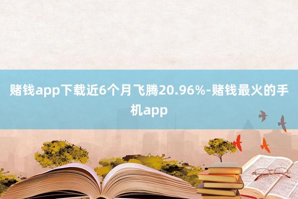 赌钱app下载近6个月飞腾20.96%-赌钱最火的手机app