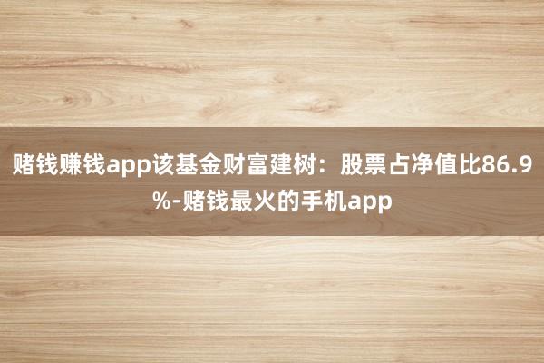 赌钱赚钱app该基金财富建树：股票占净值比86.9%-赌钱最火的手机app